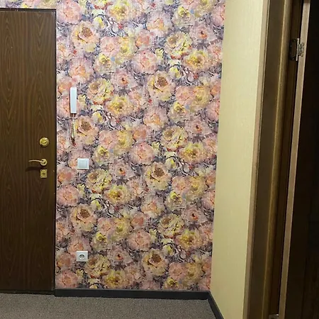 Liveriga 公寓 里加