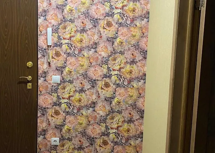 Liveriga 公寓 里加